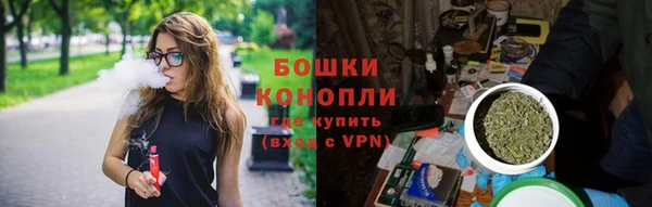 гидра Слюдянка