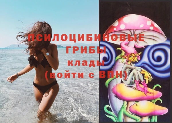 молекула духа Баксан